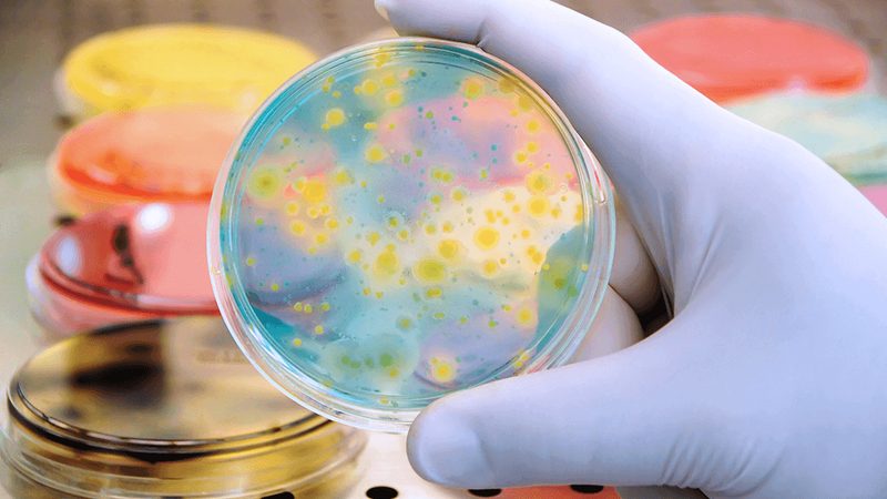 北京分子生物学试剂代理加盟，如何选择可靠伙伴？**