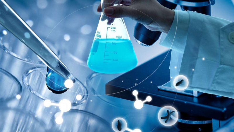 细胞工厂定制：揭秘定制化生物反应器的关键考量