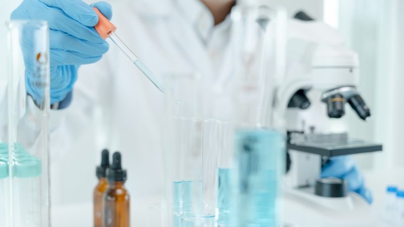 抗体人源化改造：载体选择的关键考量