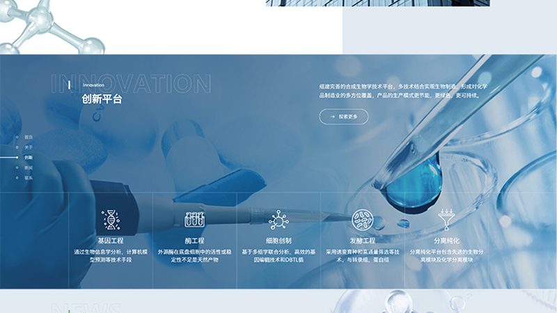 细胞工厂与传统发酵：定制方案背后的技术解析