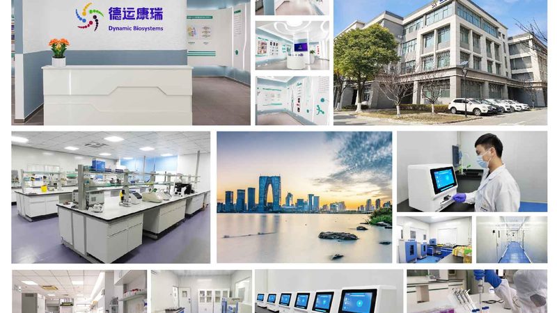 高保真PCR酶通常具有以下特点：