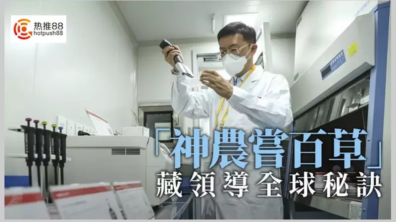 全基因组测序服务，报价背后的考量因素**