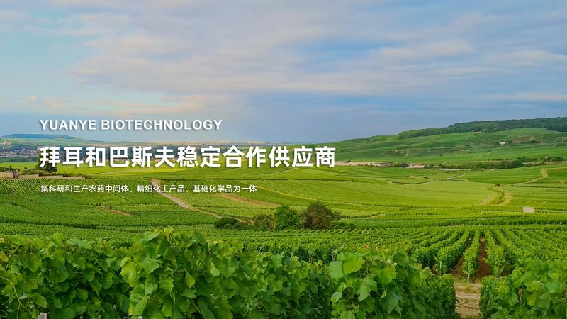 新冠PCR检测流程：揭秘精准防控的关键步骤