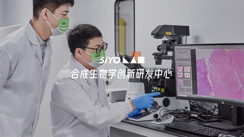 生物实验室装修：价格明细背后的考量因素**