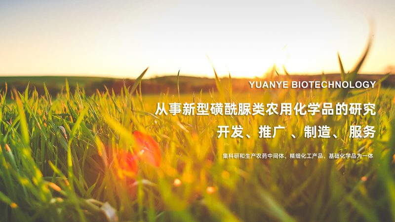 离心管：生物实验中的“得力助手