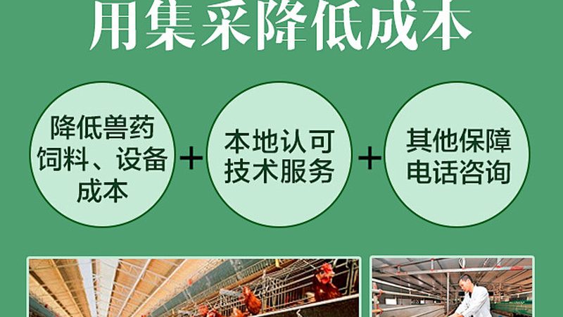 生物科技公司招聘流程：揭秘高效人才引进之道**
