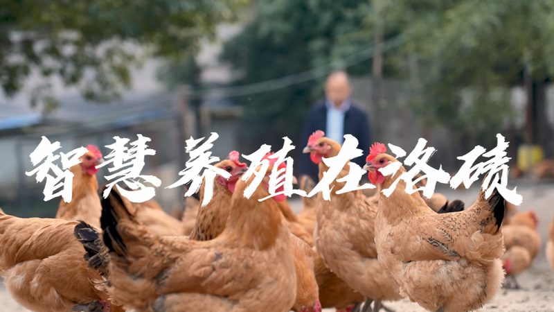 生物医药外包设备采购：流程揭秘与关键要素**