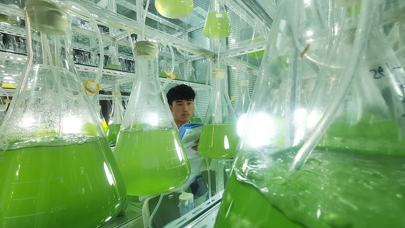行业背景：生物试剂在科研中的重要性